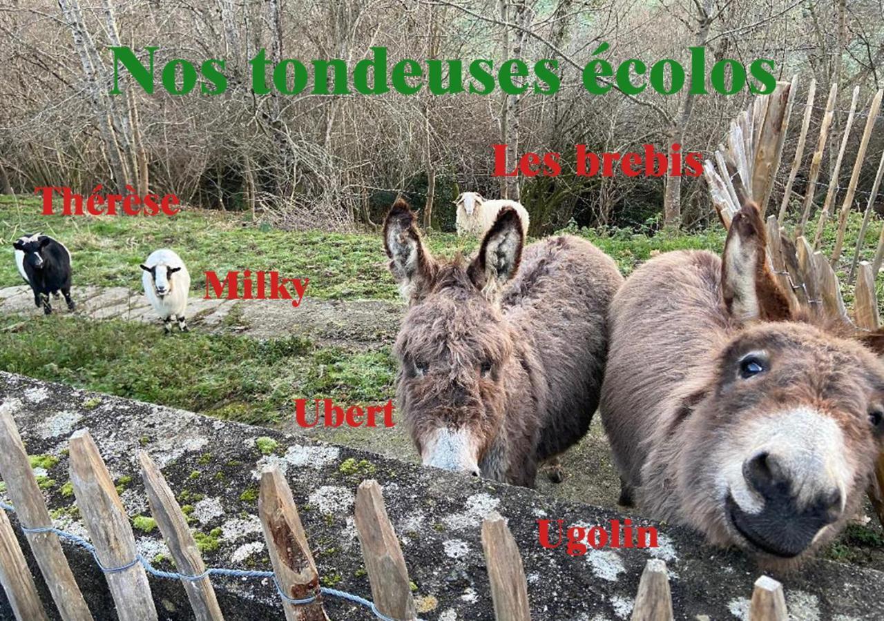 Gite De Lasbareilles Narcastet ภายนอก รูปภาพ
